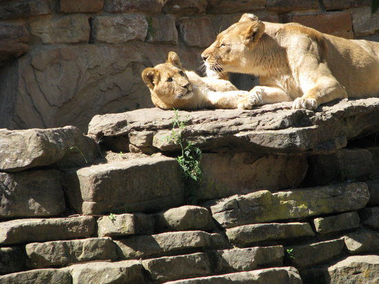 Fort Worth Zoo